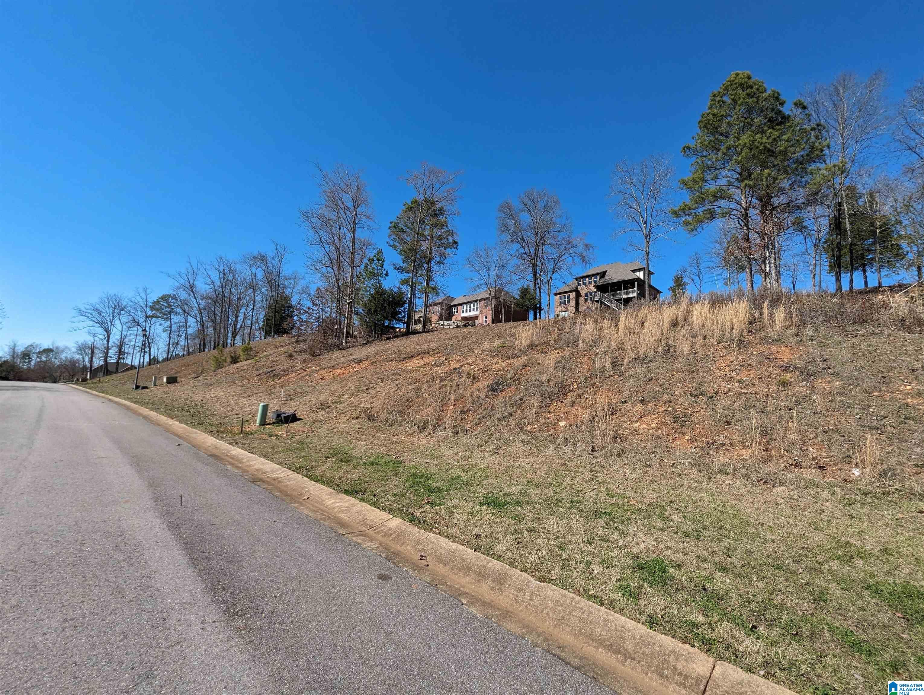 0 Overlook Ridge Lincoln, AL 35096 - Photo 19 of 33