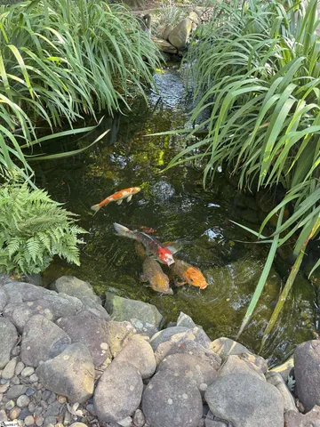 $699,000 | 222 Rock Road, Greer, SC 29651