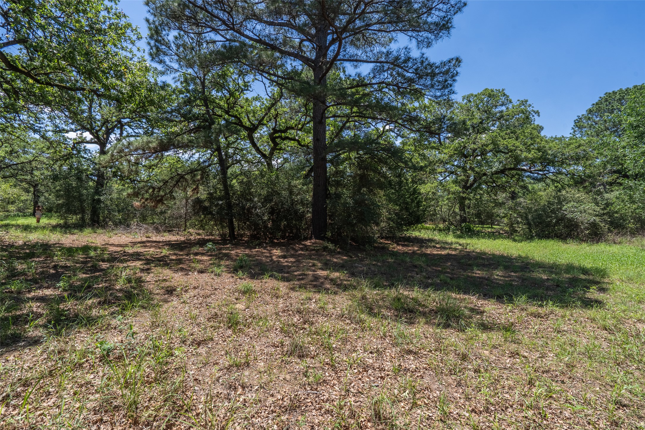 133 Roundup Ridge Smithville, TX 78957 - Photo 8 of 11