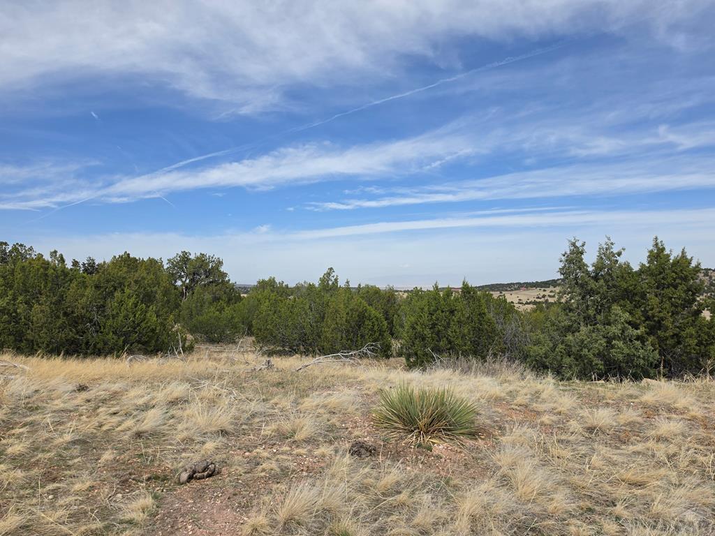Tbd Cedarwood Road Rye, CO 81069 - Photo 5 of 5
