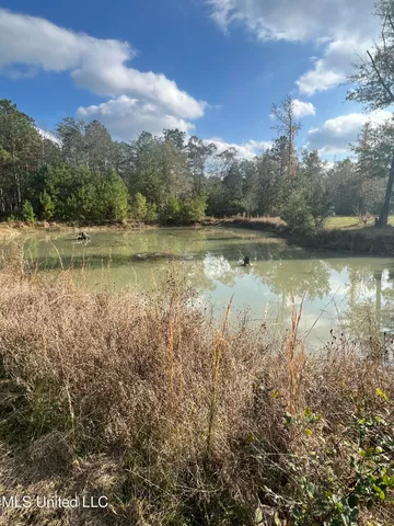 $270,000 | 33 Red Creek Church Road, Wiggins, MS 39577