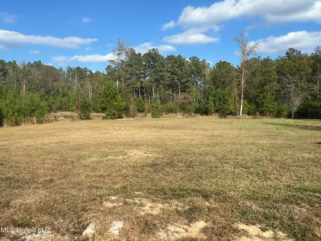 $270,000 | 33 Red Creek Church Road, Wiggins, MS 39577