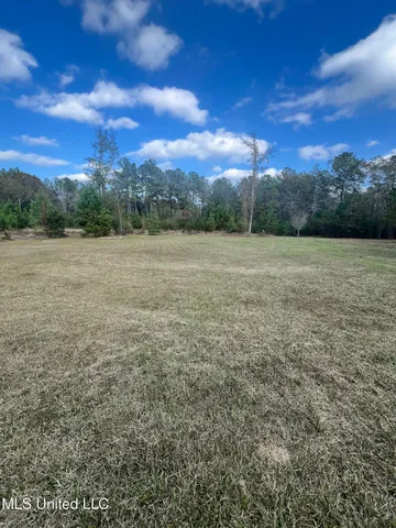 $270,000 | 33 Red Creek Church Road, Wiggins, MS 39577