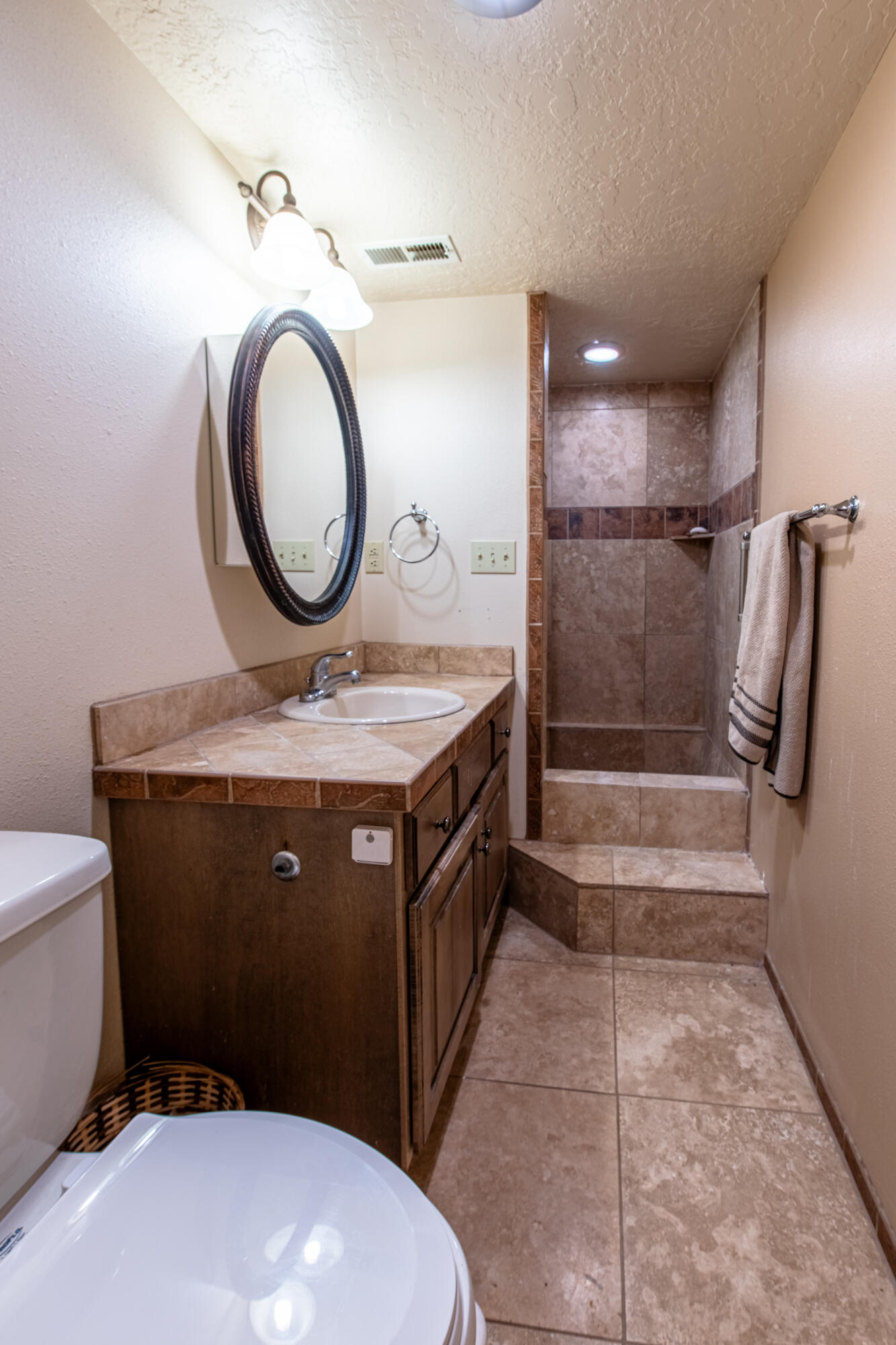 29 Canyon View Drive Springdale, UT 84767 - Photo 49 of 67 basement bath#1