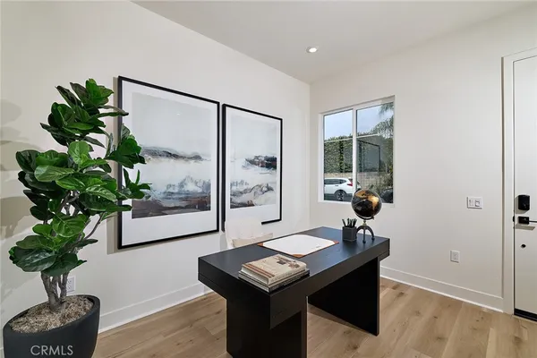 a living room with furniture and a potted plant