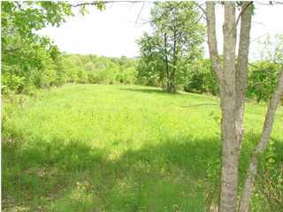 0 Love Ridge Road Chaplin, KY 40012 - Photo 1 of 3 Primary Photo
