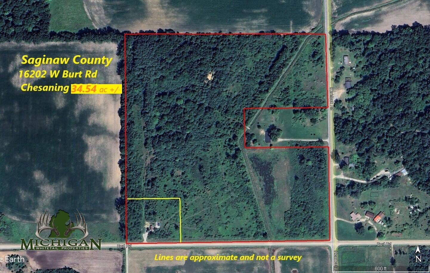 16202 West Burt Road Brant, MI 48614 - Photo 2 of 34 Map 1