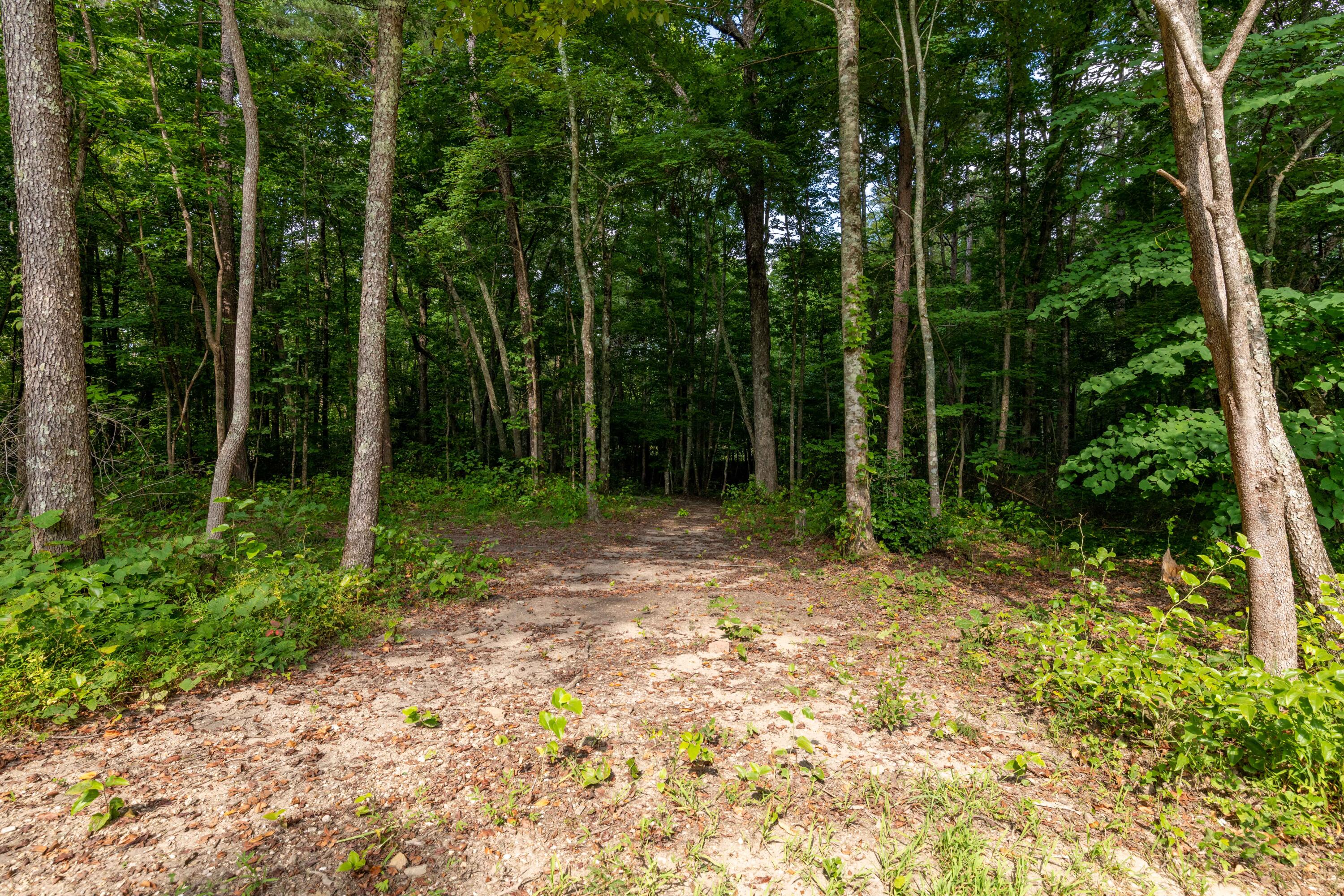8145 Hixson Springs Road Signal Mountain, TN 37377 - Photo 54 of 64 Wooded Lot with Trails