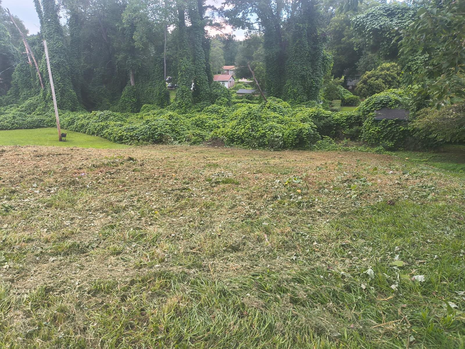 0 Serene Drive Gaffney, SC 29340 - Photo 2 of 8