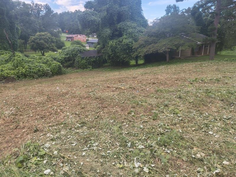 0 Serene Drive Gaffney, SC 29340 - Photo 3 of 8