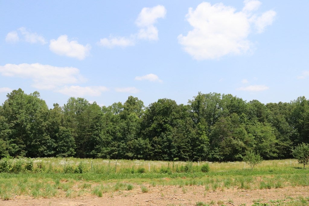 455 Miller Camp Road Buckingham, VA 23921 - Photo 34 of 34 Gallery Image 34