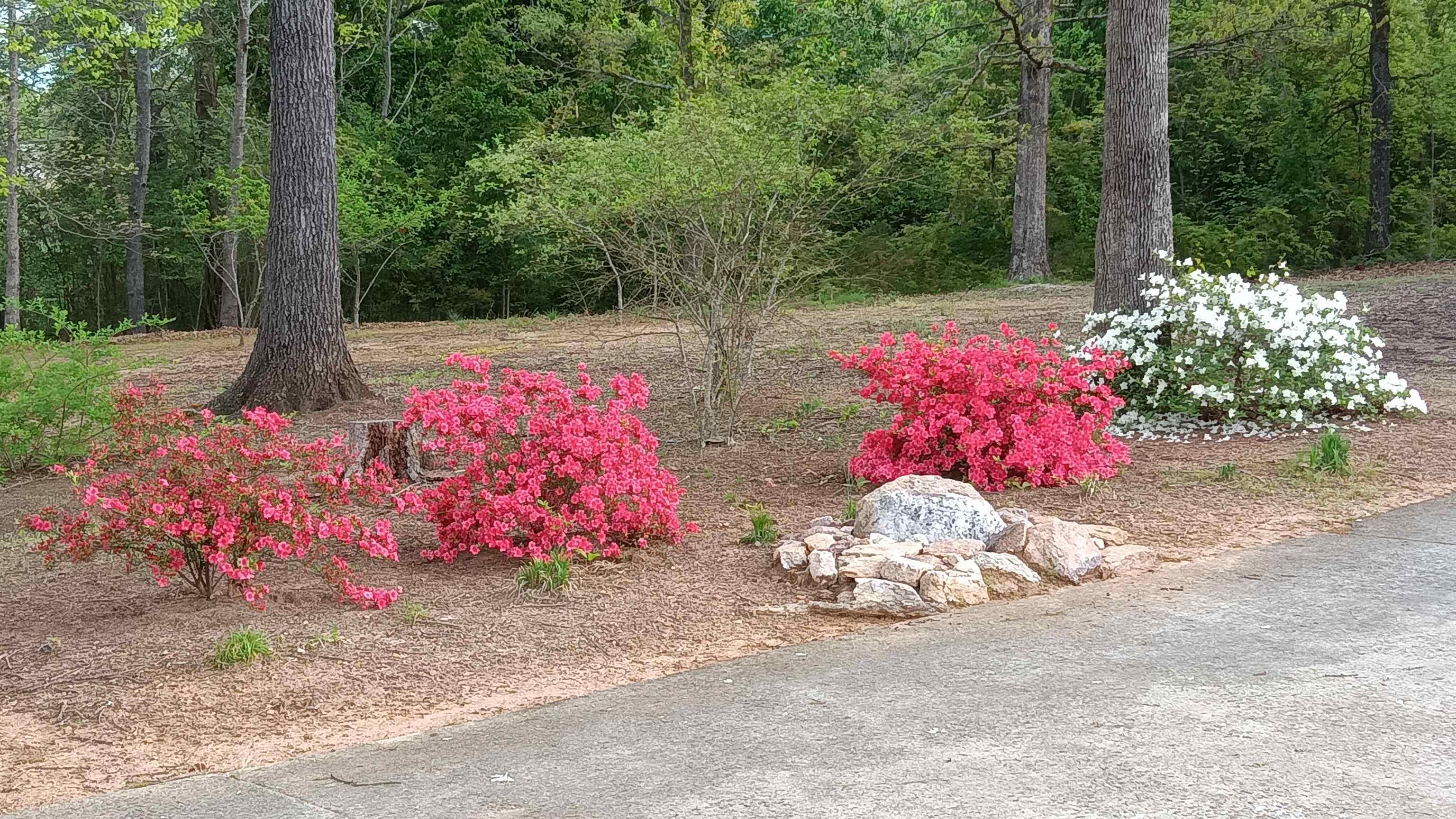 6535 Midway Road Williamston, SC 29697 - Photo 45 of 50 Gallery Image 45