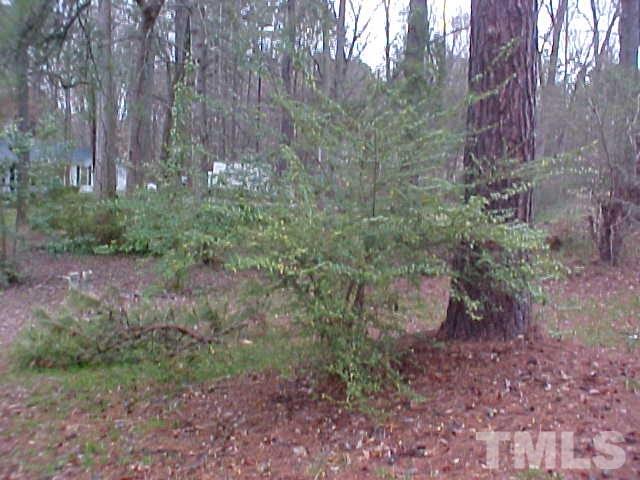 7405 Ray Road Raleigh, NC 27613 - Photo 1 of 4