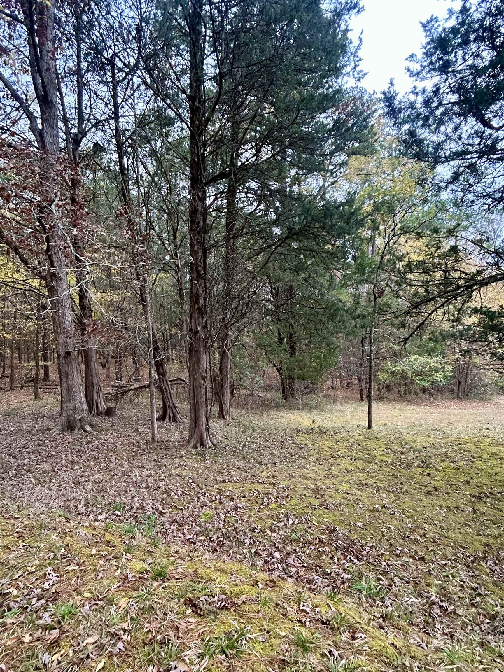 0 Darwin Road Gaffney, SC 29340 - Photo 5 of 5