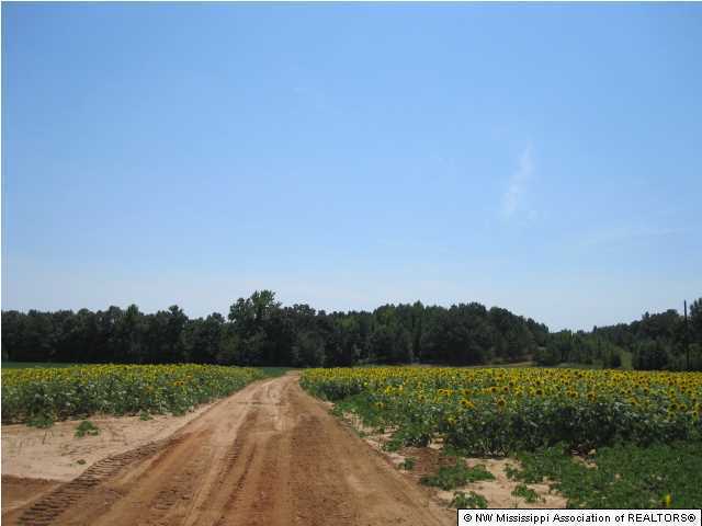 1 Hudsonville Road Lamar, MS 38642 - Photo 1 of 29 Primary Photo