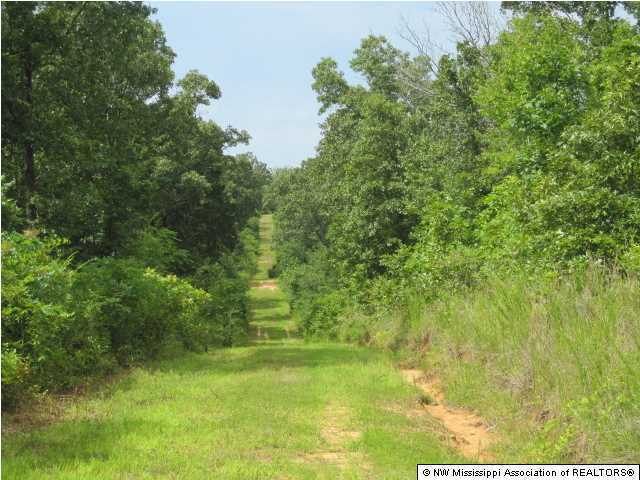 1 Hudsonville Road Lamar, MS 38642 - Photo 11 of 29 Additional Photo