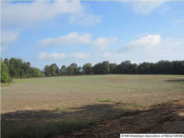 1 Hudsonville Road Lamar, MS 38642 - Photo 21 of 29 Additional Photo