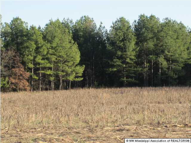 1 Hudsonville Road Lamar, MS 38642 - Photo 27 of 29 Additional Photo