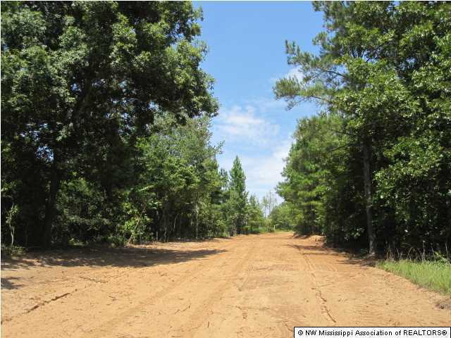 1 Hudsonville Road Lamar, MS 38642 - Photo 3 of 29 Additional Photo
