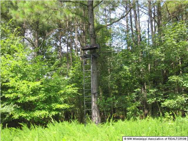1 Hudsonville Road Lamar, MS 38642 - Photo 9 of 29 Additional Photo