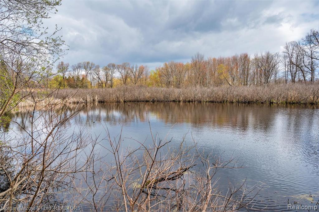 0 Kier Road Auburn Hills, MI 48326 - Photo 5 of 22