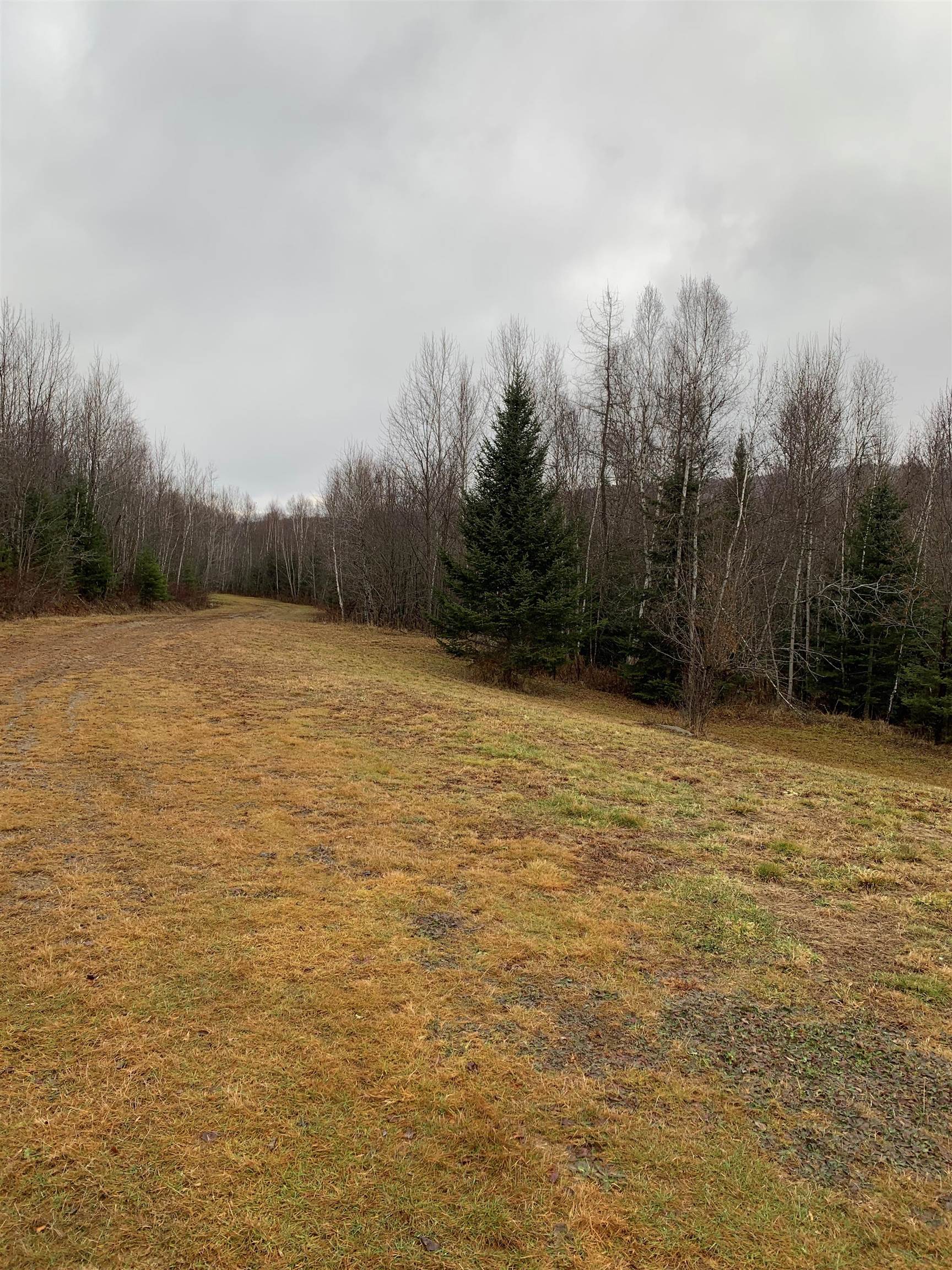 0 Pontook Estates Road Dummer, NH 03588 - Photo 2 of 5
