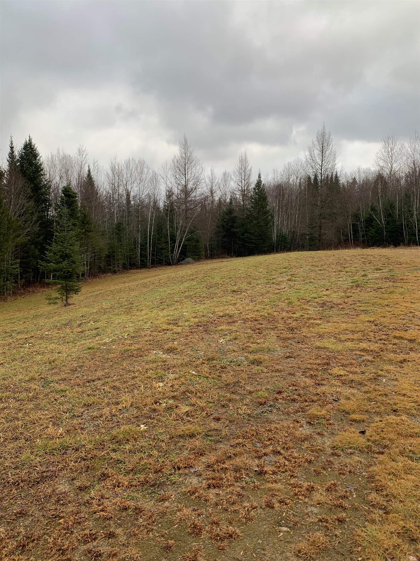 0 Pontook Estates Road Dummer, NH 03588 - Photo 3 of 5