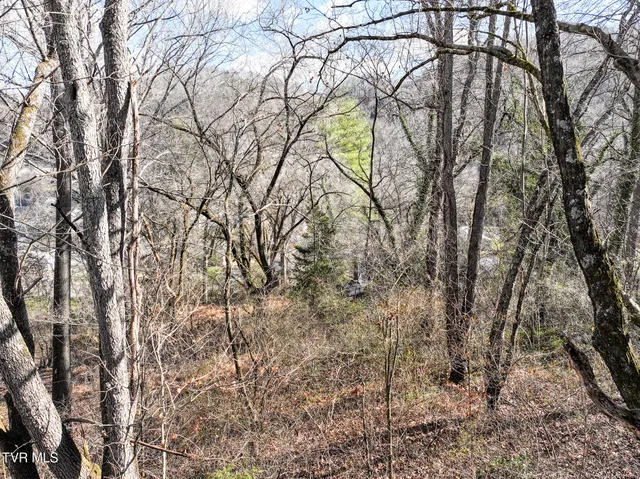 $39,000 | 1227 Bristol Highway, Unit 26, Elizabethton, TN 37643