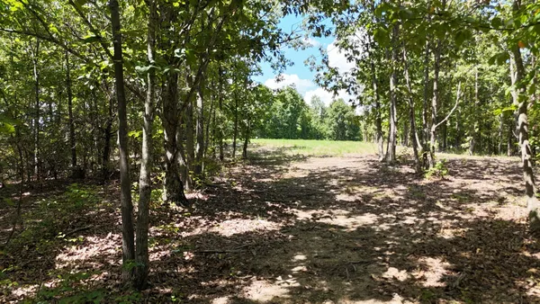 a view of backyard of house with green space