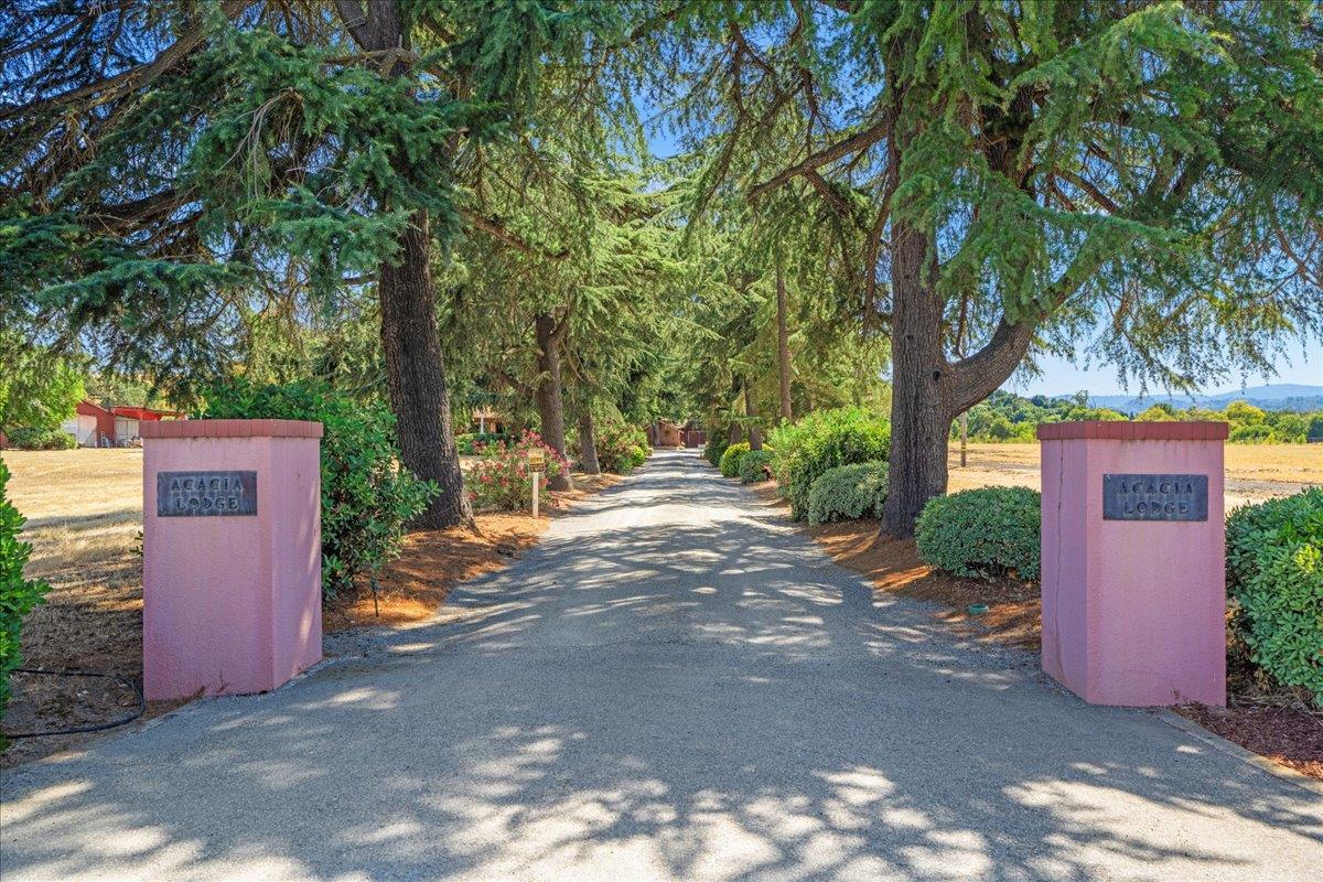 a view of a street with a tree