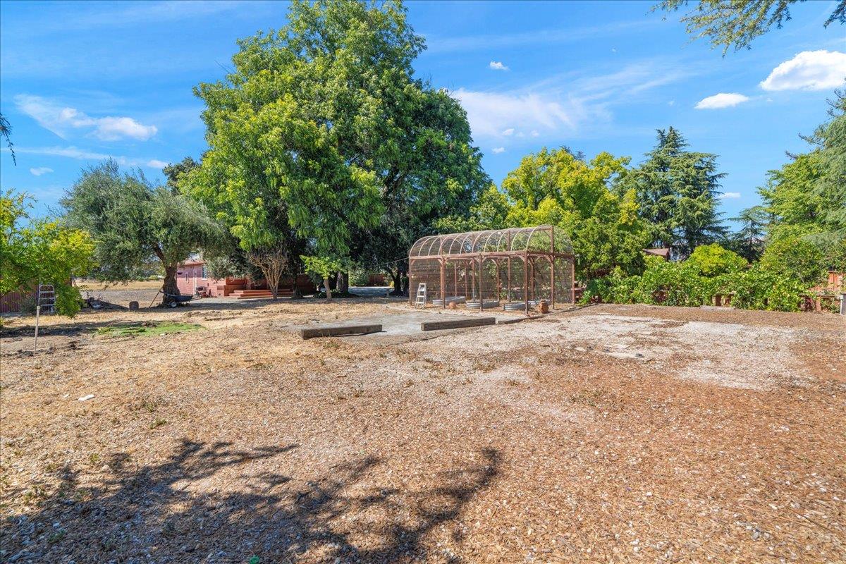 14325 Monterey Road Morgan Hill, CA 95037 - Photo 34 of 41 a palm tree sitting in front of a house with a big yard