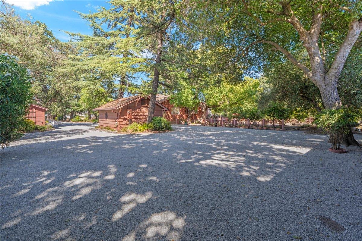 14325 Monterey Road Morgan Hill, CA 95037 - Photo 4 of 41 a view of backyard and tree