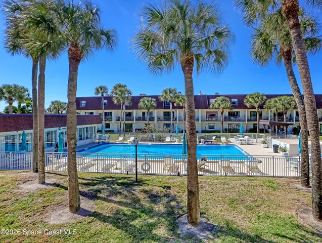 a palm tree sitting in front of a house with palm trees