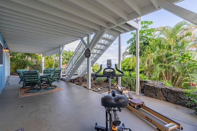 a view of a garden with plants