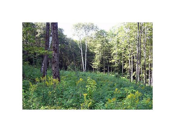 East View Road Warren, VT 05674 - Photo 1 of 1