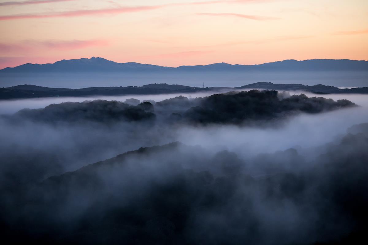 38 Tehama Carmel, CA 93923 - Photo 12 of 14