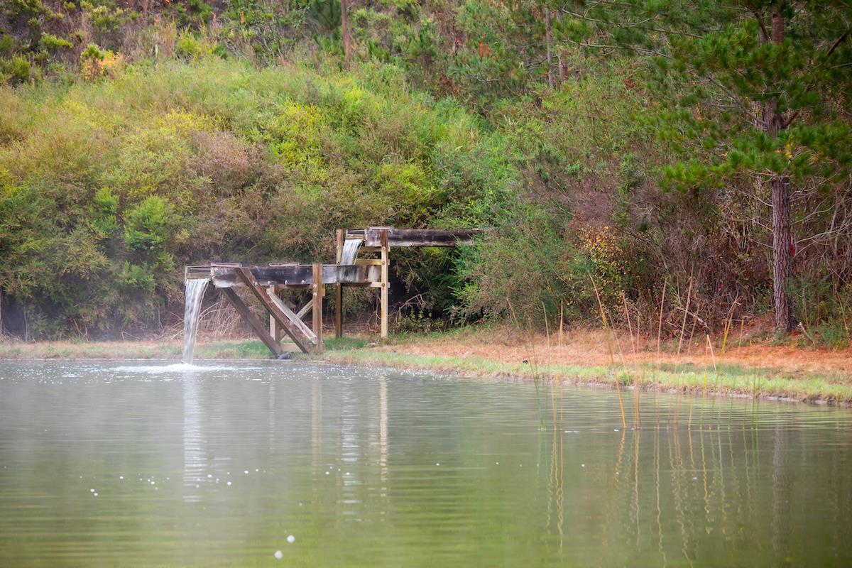 38 Tehama Carmel, CA 93923 - Photo 14 of 14