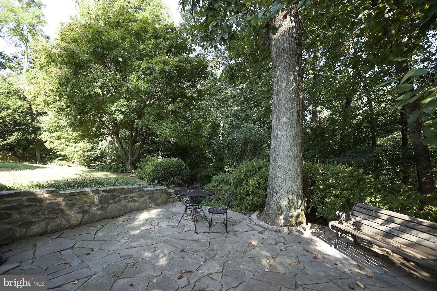 8308 Kerry Road Chevy Chase, MD 20815 - Photo 7 of 13 Exterior (Rear)