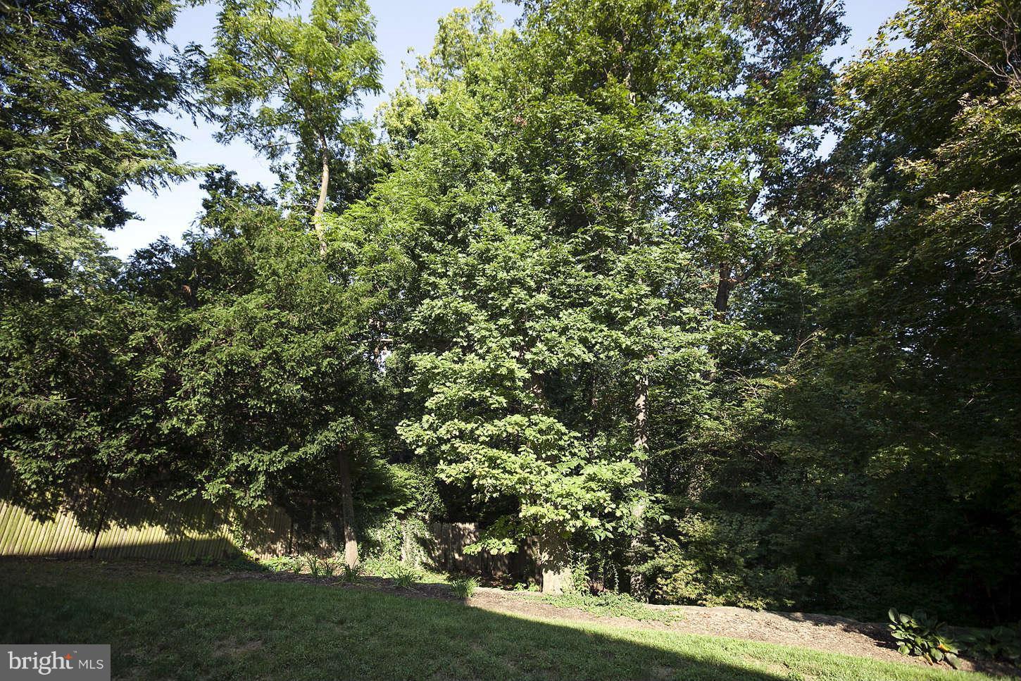 8308 Kerry Road Chevy Chase, MD 20815 - Photo 9 of 13 Exterior (Rear)