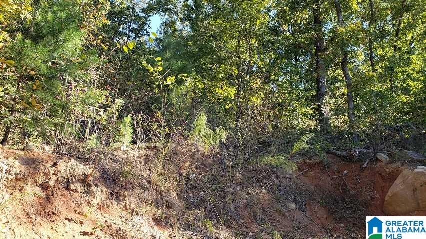 115 Tidmore Lane Oneonta, AL 35121 - Photo 9 of 32