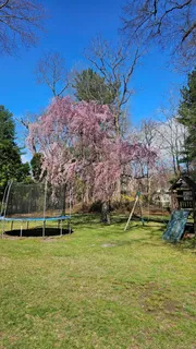 $875,000 | 4 Richard Terrace, Hartsdale, NY 10530