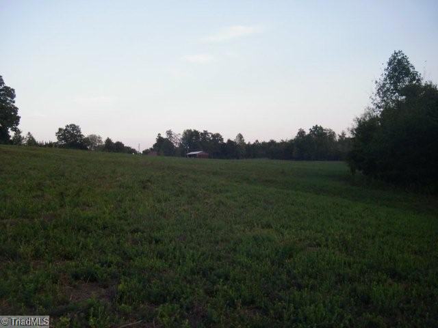 Lot 1 Mitchell Road Reidsville, NC 27320 - Photo 14 of 15 Other. view from back of property at pond
