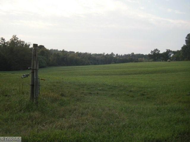 Lot 1 Mitchell Road Reidsville, NC 27320 - Photo 5 of 15 Other. beautiful grass pasture