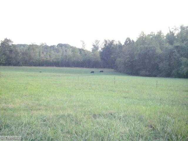 Lot 1 Mitchell Road Reidsville, NC 27320 - Photo 8 of 15 Other. Fenced pasture