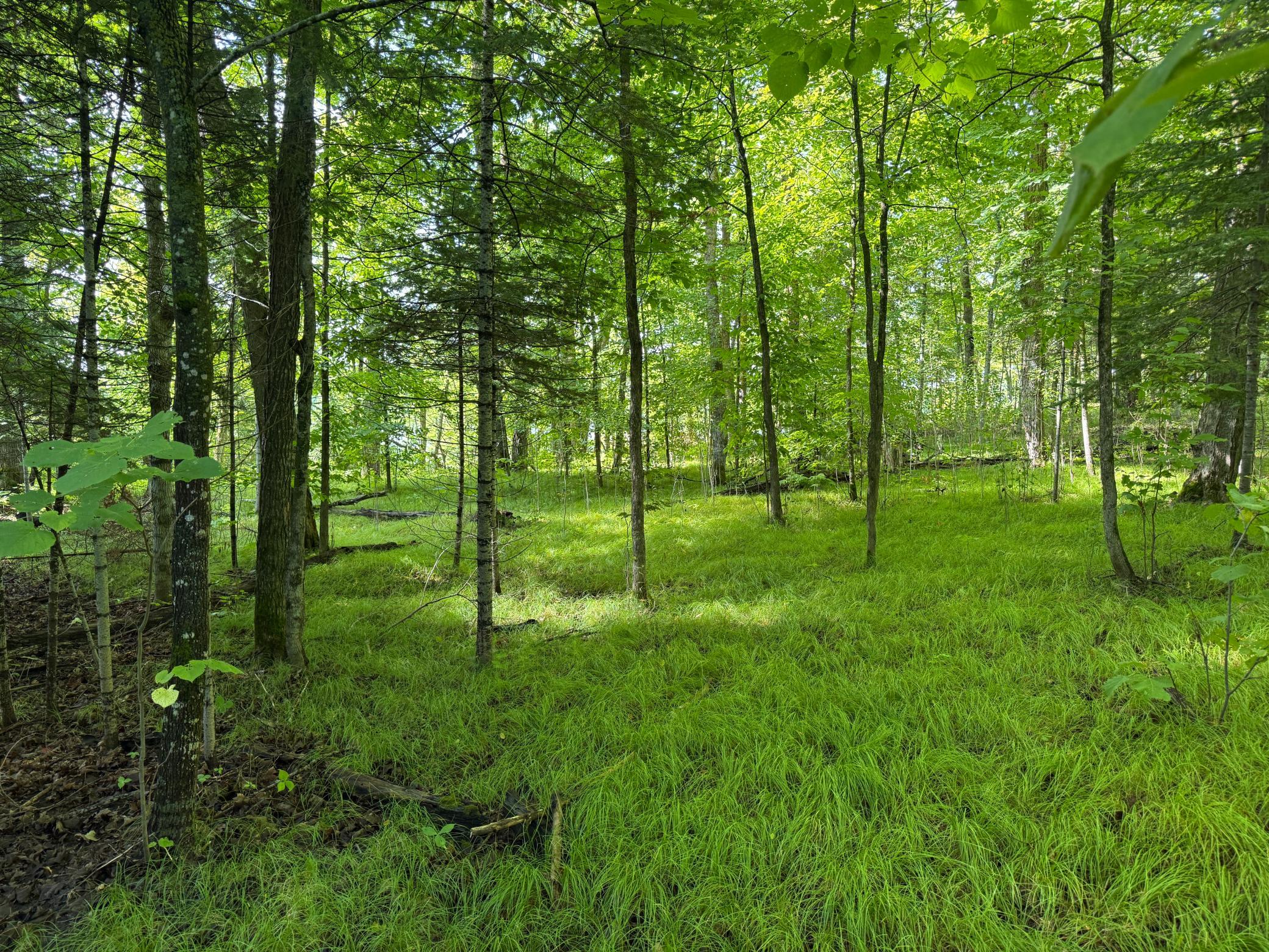 Tbd Northeast Gryce Styne Road Northeast Bemidji, MN 56601 - Photo 7 of 8 Gallery Image 7