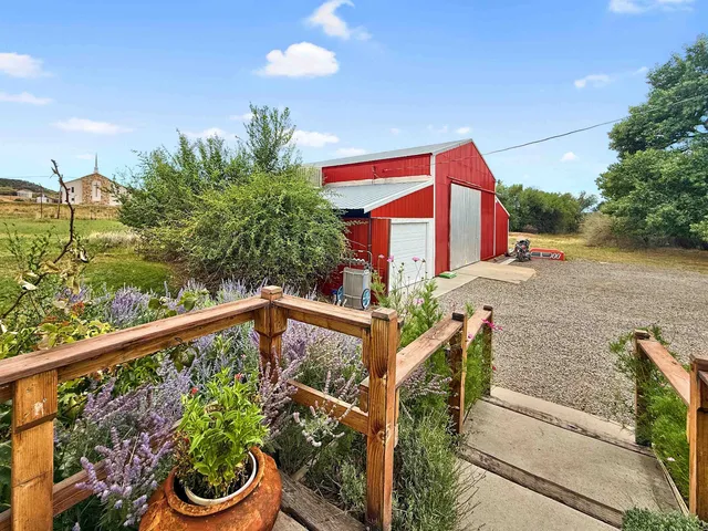 a front view of a house with a yard and a potted plant