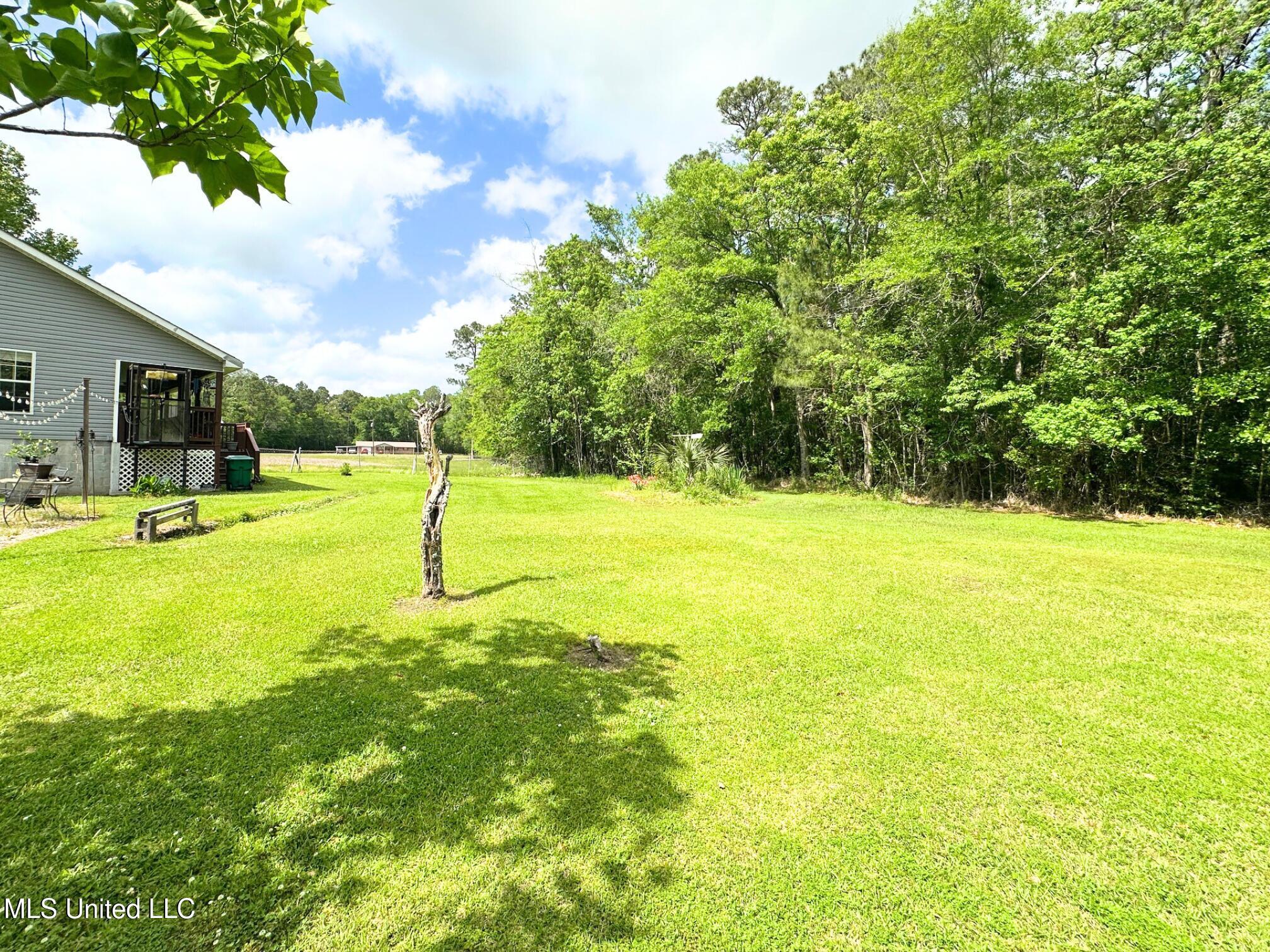 7204 Elder Ferry Road Moss Point, MS 39563 - Photo 6 of 22 Backyard