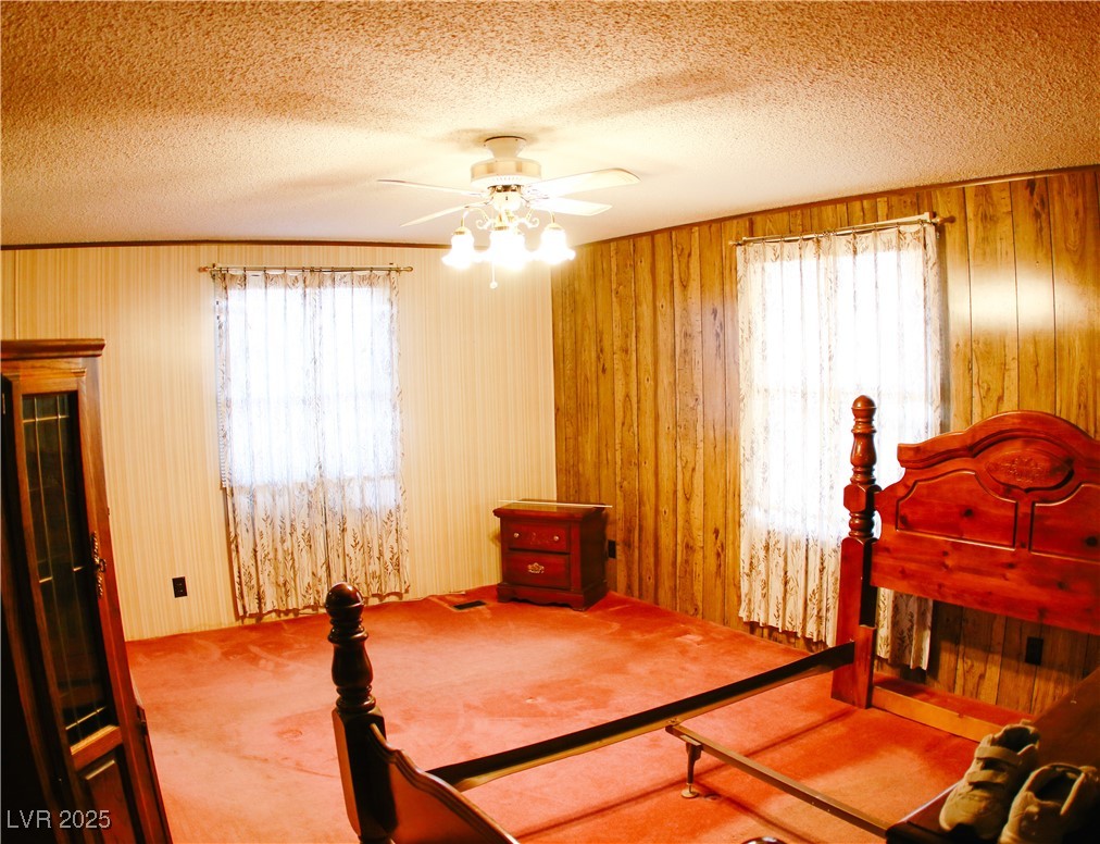 31 South 4th Street Panaca, NV 89042 - Photo 14 of 36 Carpeted bedroom with multiple windows, a textured ceiling, and ceiling fan