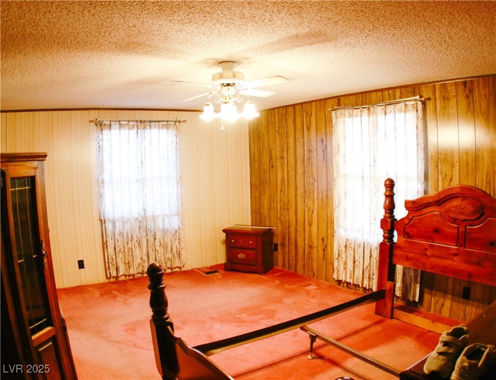 31 South 4th Street Panaca, NV 89042 - Photo 14 of 36 Carpeted bedroom with multiple windows, a textured ceiling, and ceiling fan