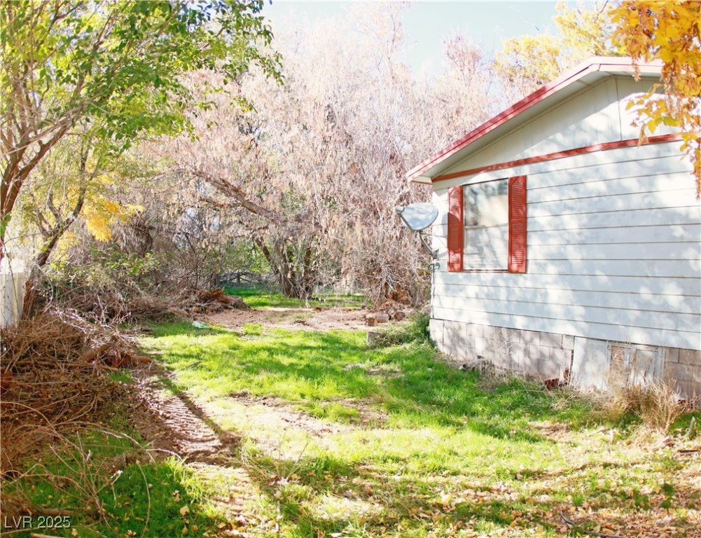 31 South 4th Street Panaca, NV 89042 - Photo 8 of 36 View of yard